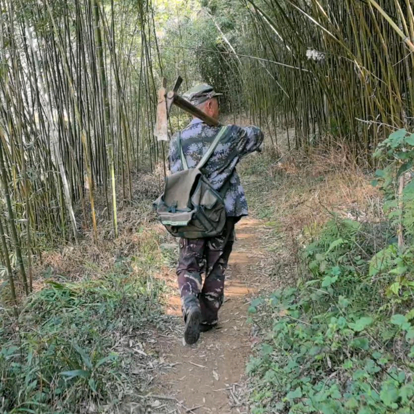 山野寻味 群聊头像