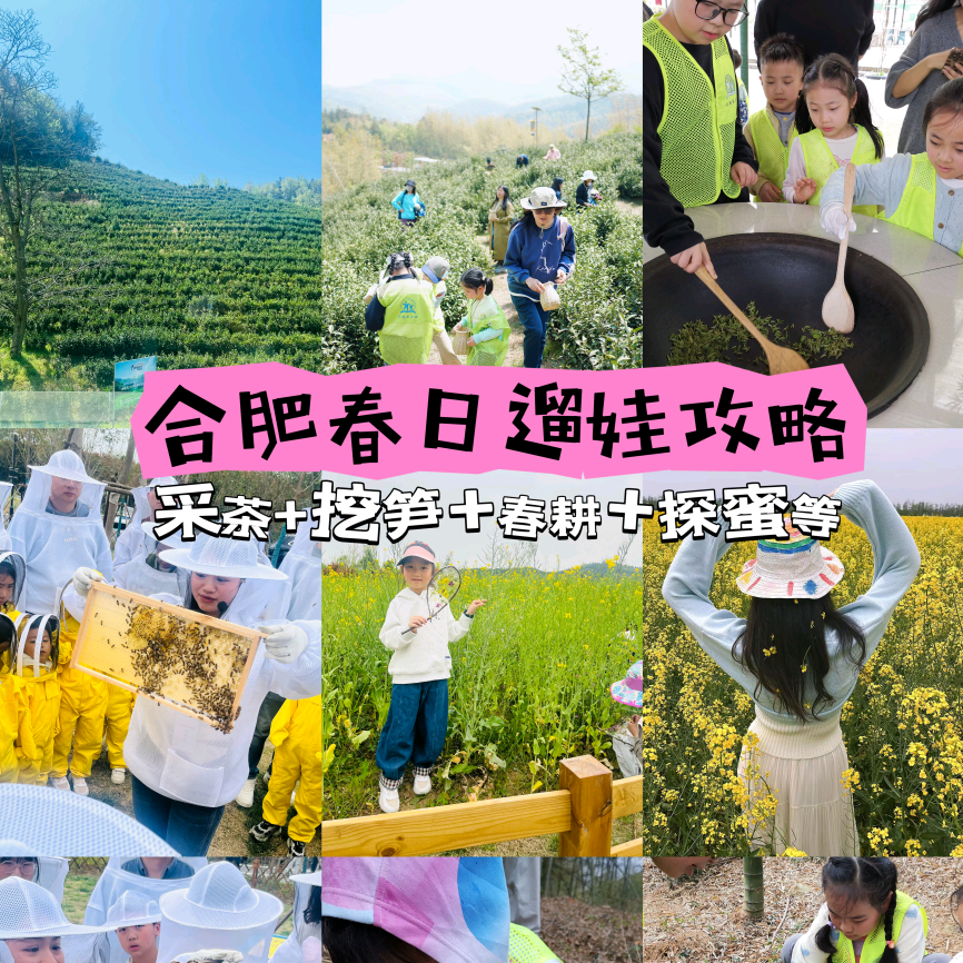 合肥周末户外遛娃群 群聊头像