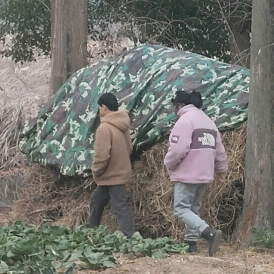 81年农历11.24 群聊头像