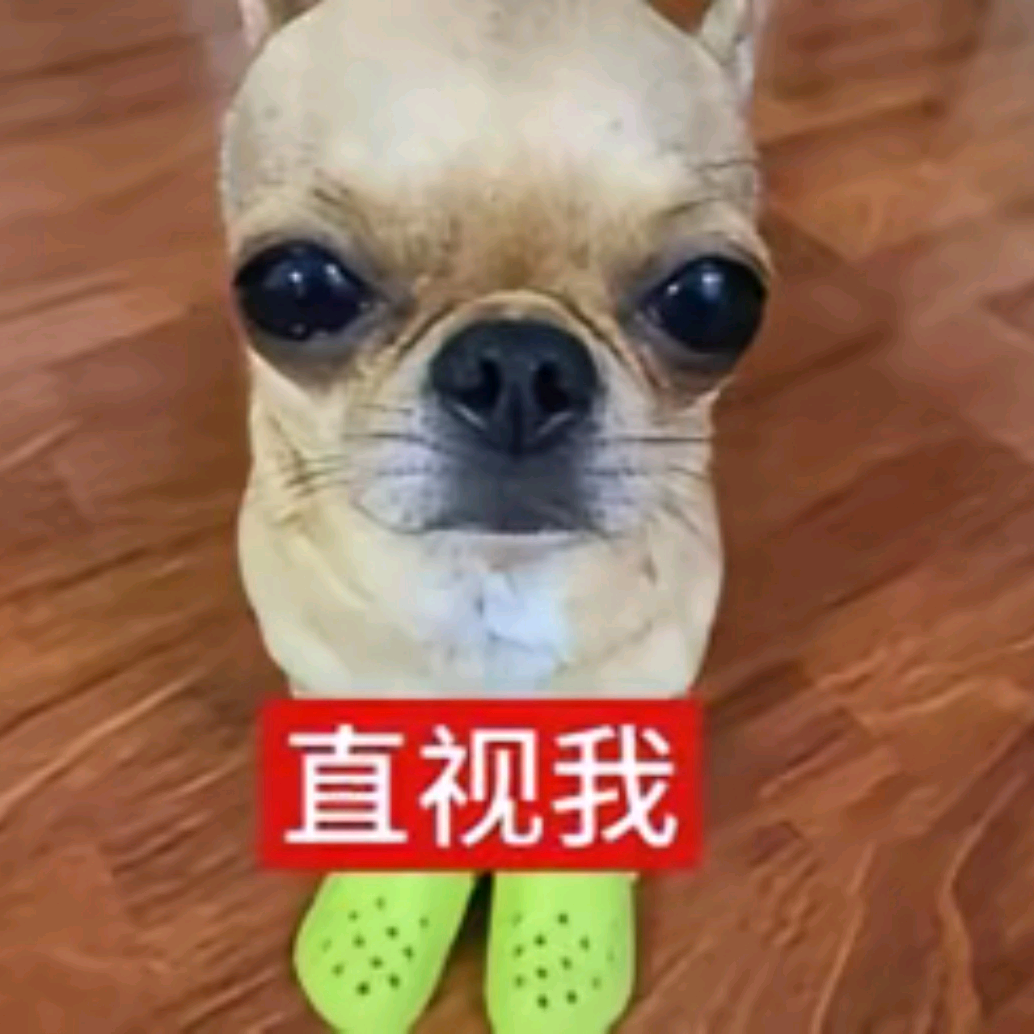 命苦剪辑妹丨带共创 群聊头像