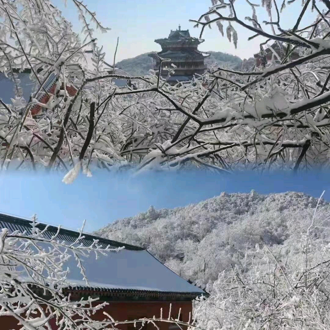 同路人友谊的小船8群 群聊头像