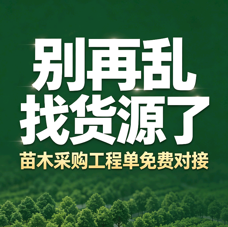 苗木采购对接15群 群聊头像