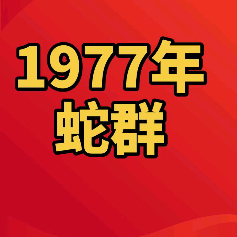 中国🇨🇳1977年蛇群（1群） 群聊头像