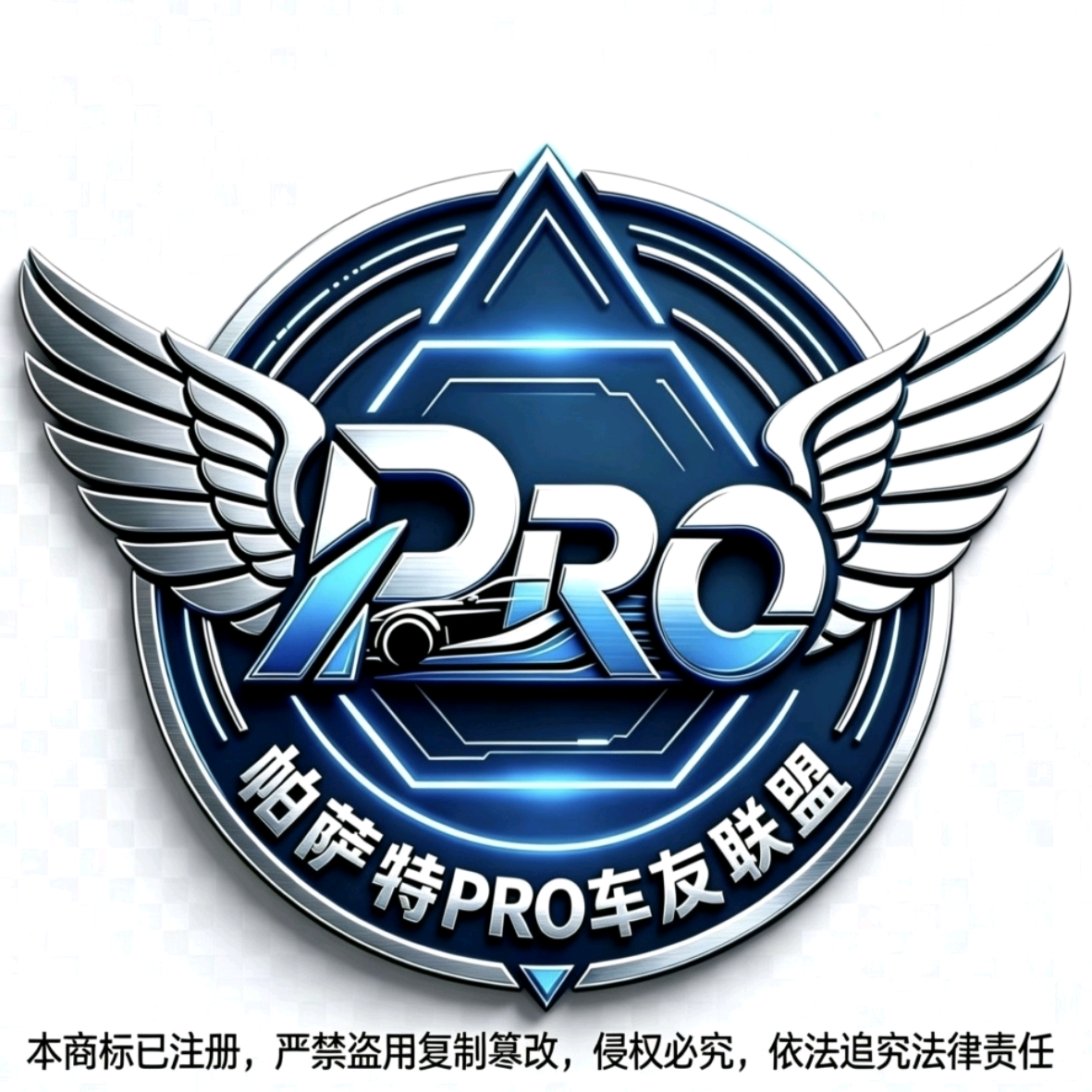 🇨🇳​帕萨特Pro车友联盟 群聊头像