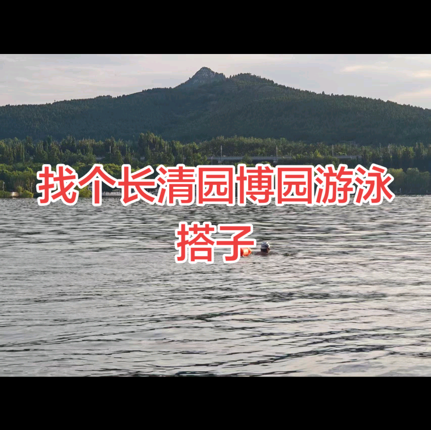 长清区园博园游泳户外群 群聊头像