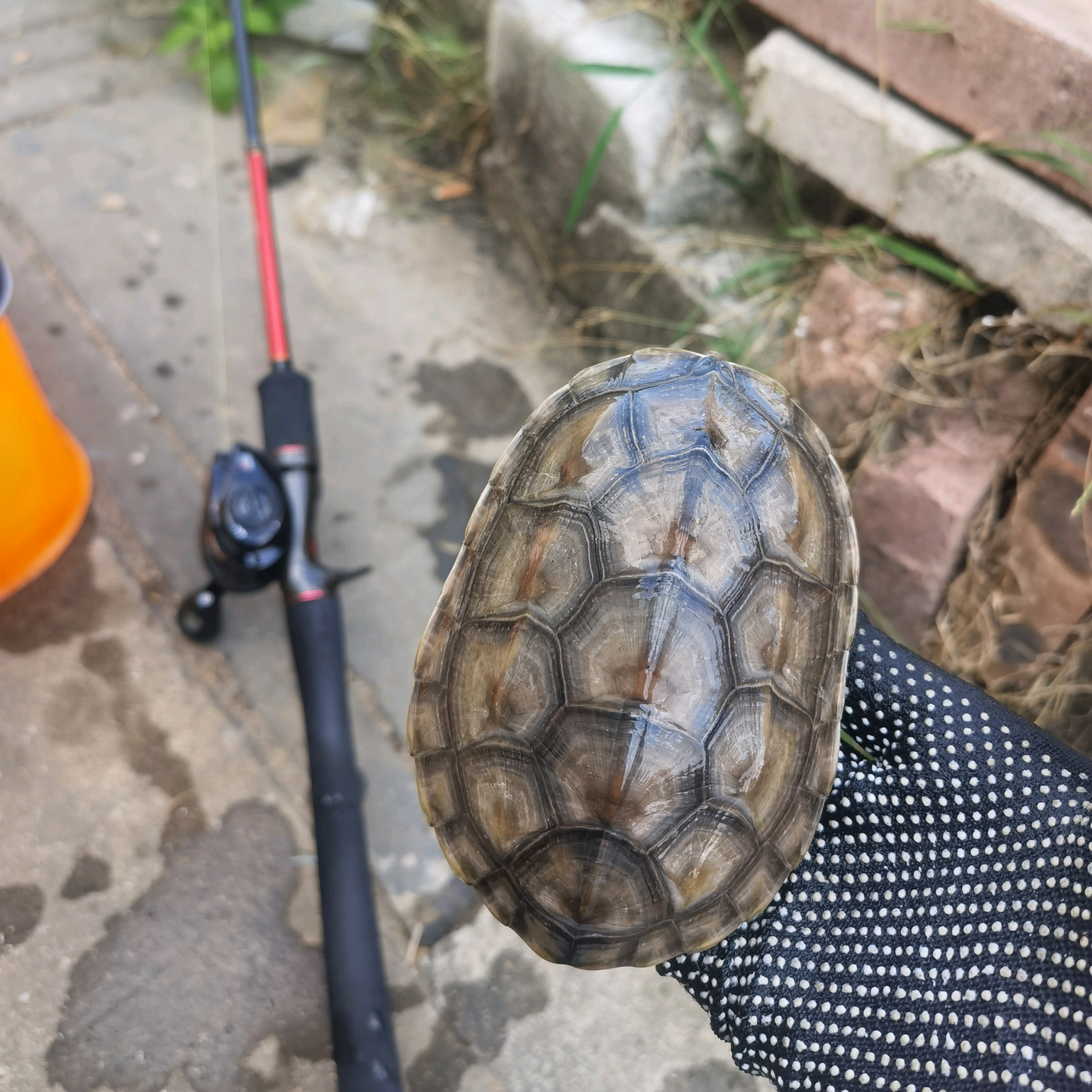路亚野钓群聊 群聊头像