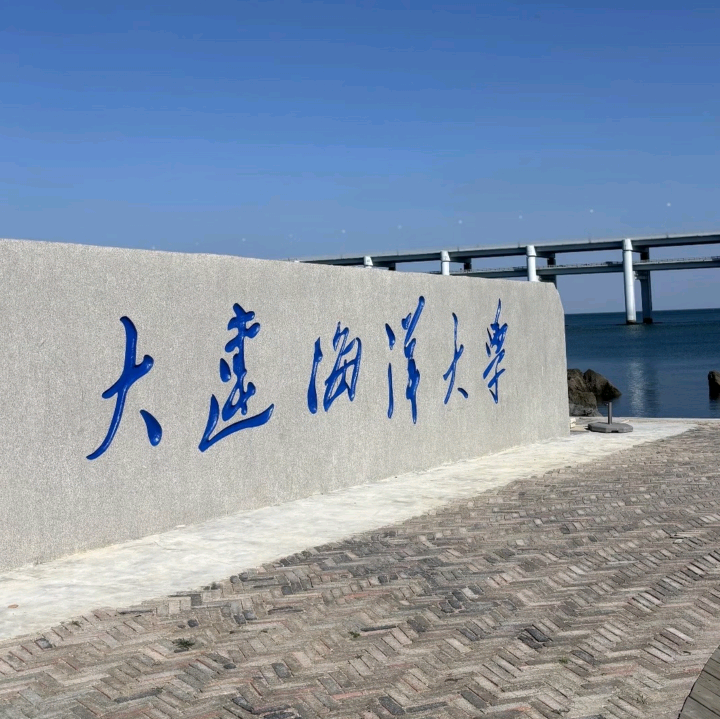 大海大 2026 新生群 群聊头像