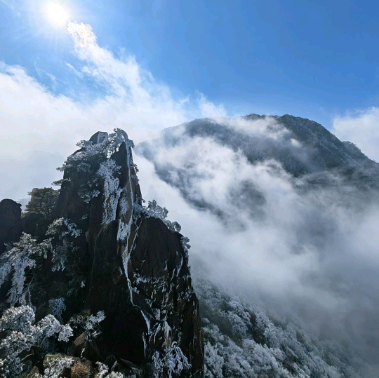 穿山甲特纵队户外 群聊头像