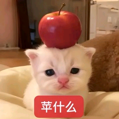 未来歌星 群聊头像