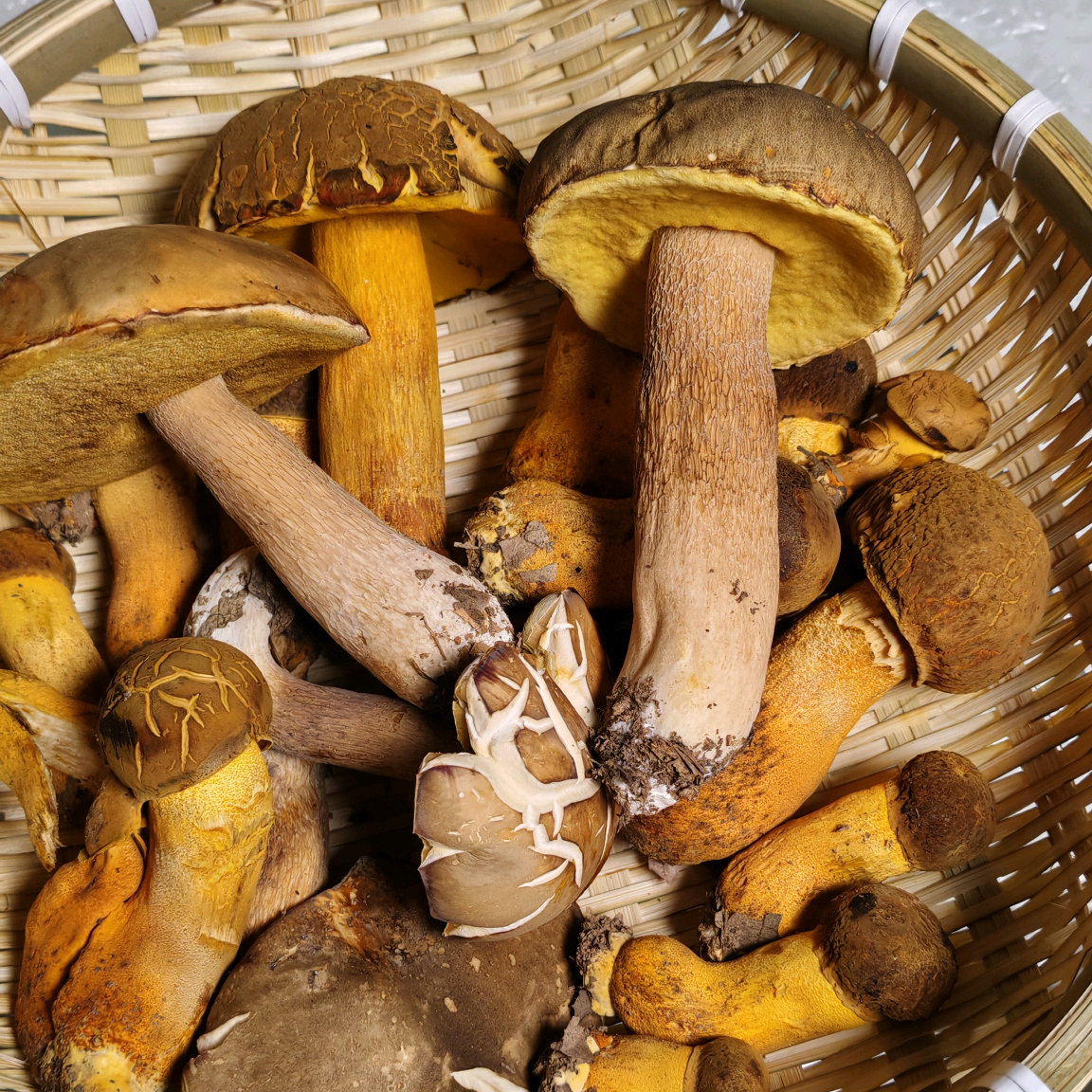 小达户外二群川西 群聊头像