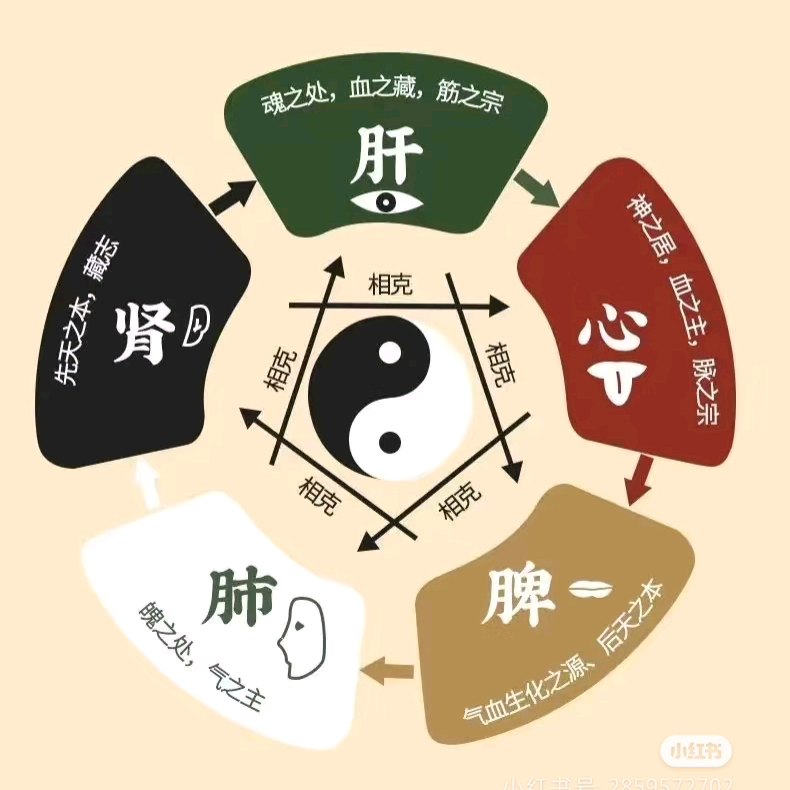 中医知识学习群 群聊头像