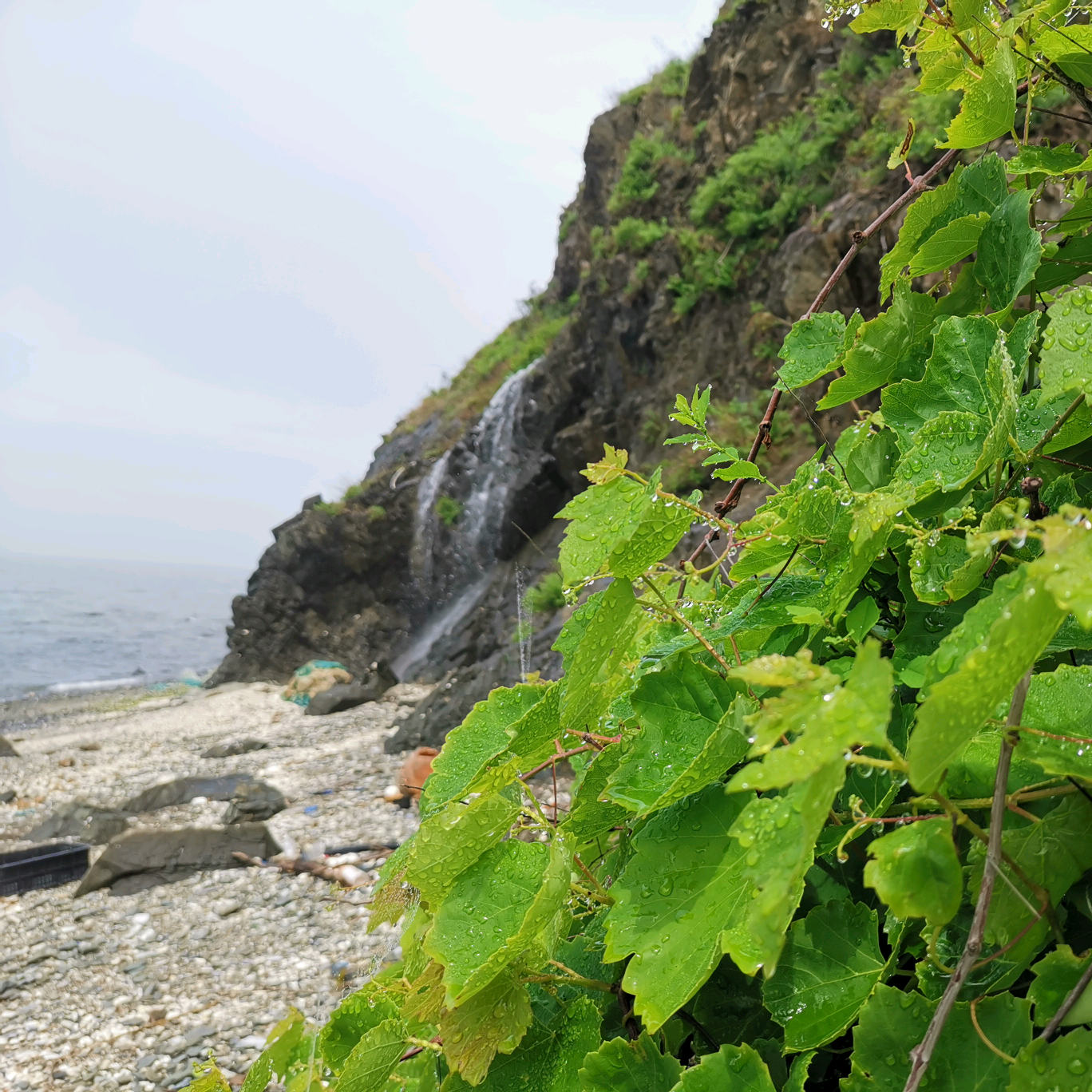 南关岭赶海钓鱼群 群聊头像