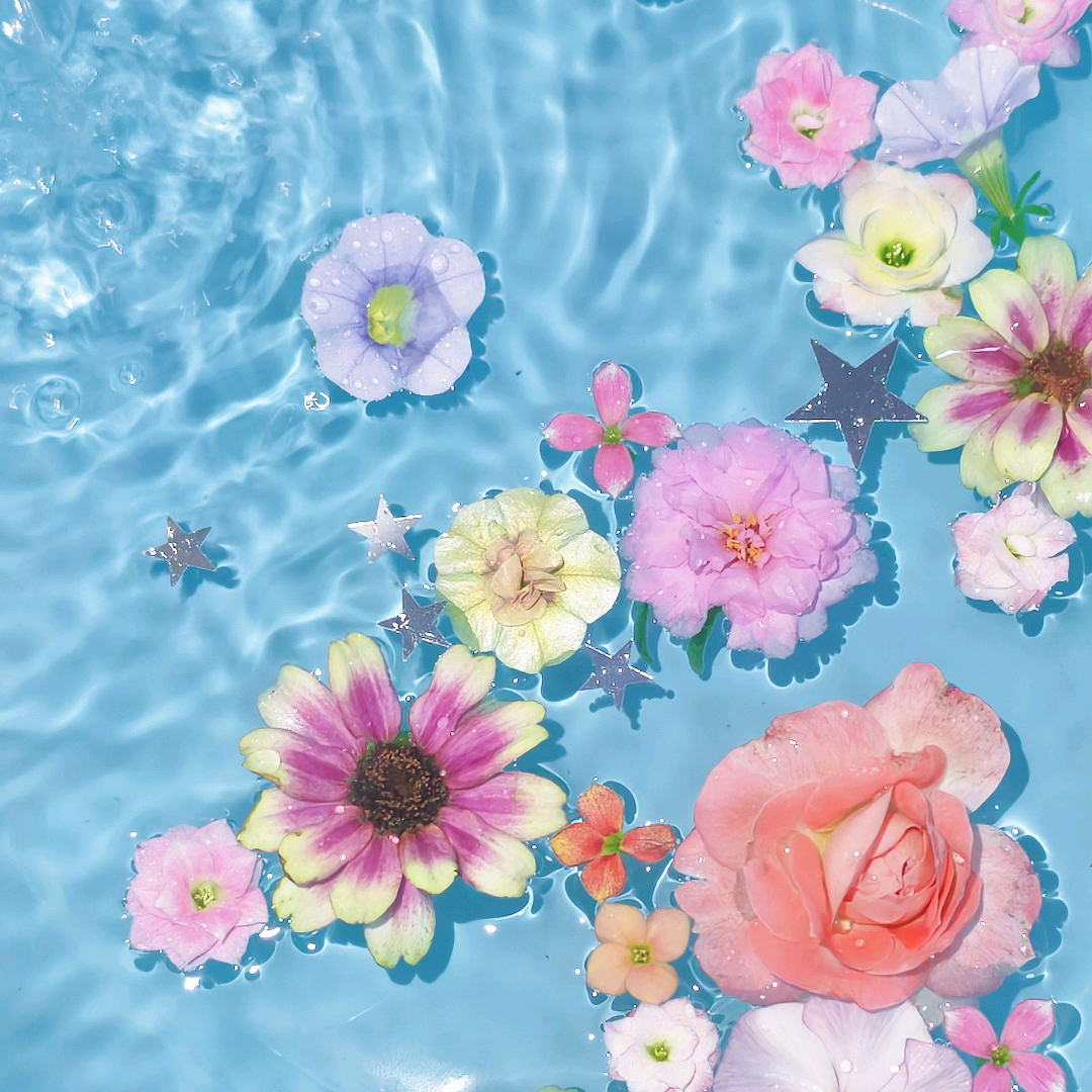 🌸声声慢花友交流群 群聊头像