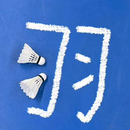诸城市体育馆羽毛球共同进步群 群聊头像