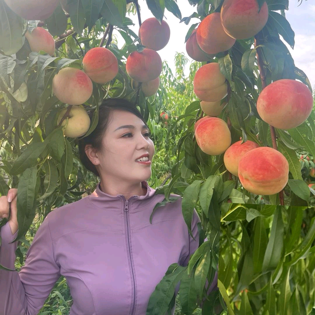 农业技术交流 群聊头像