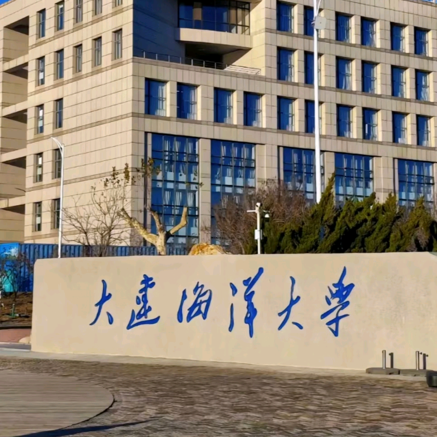 大连海洋大学2026新生群2 群聊头像