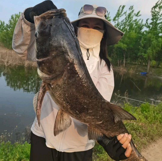 斐然野钓群 群聊头像