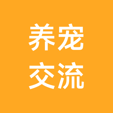 养宠交流群 群聊头像
