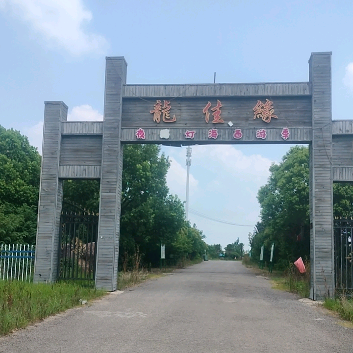 龙佳缘山庄果园交流群 群聊头像