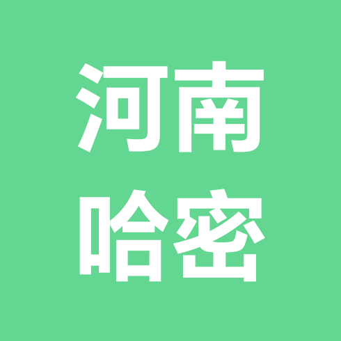 河南人在新疆哈密2群 群聊头像