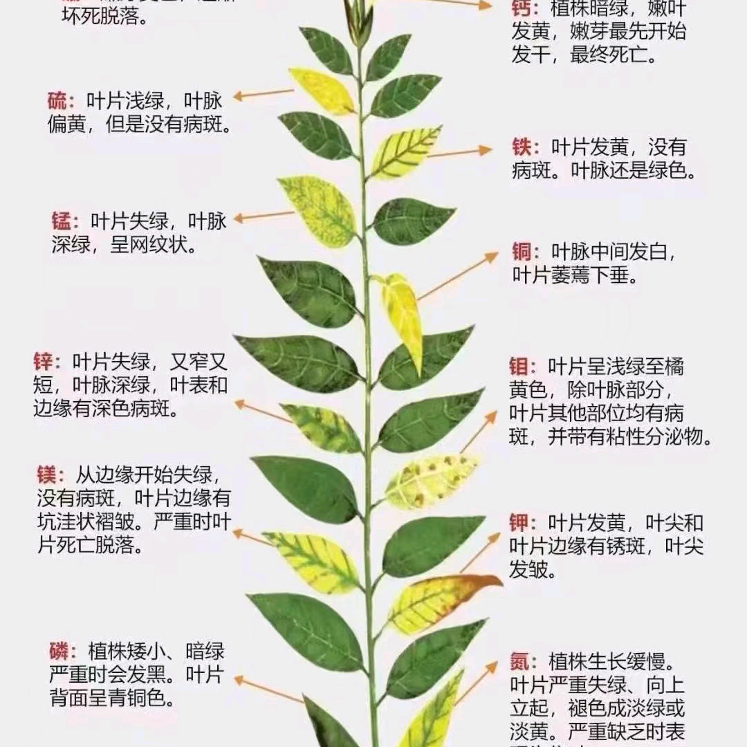 农技交流群 群聊头像