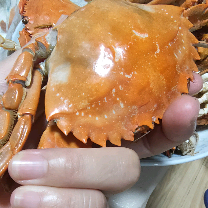 连云港赶海小课堂 群聊头像