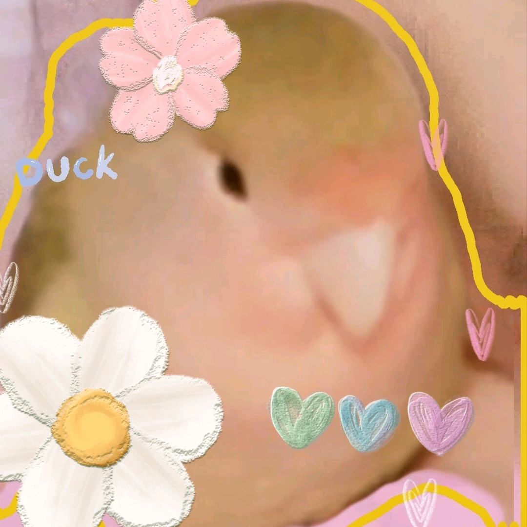臭鸡群🦜🐥🐥🐥 群聊头像