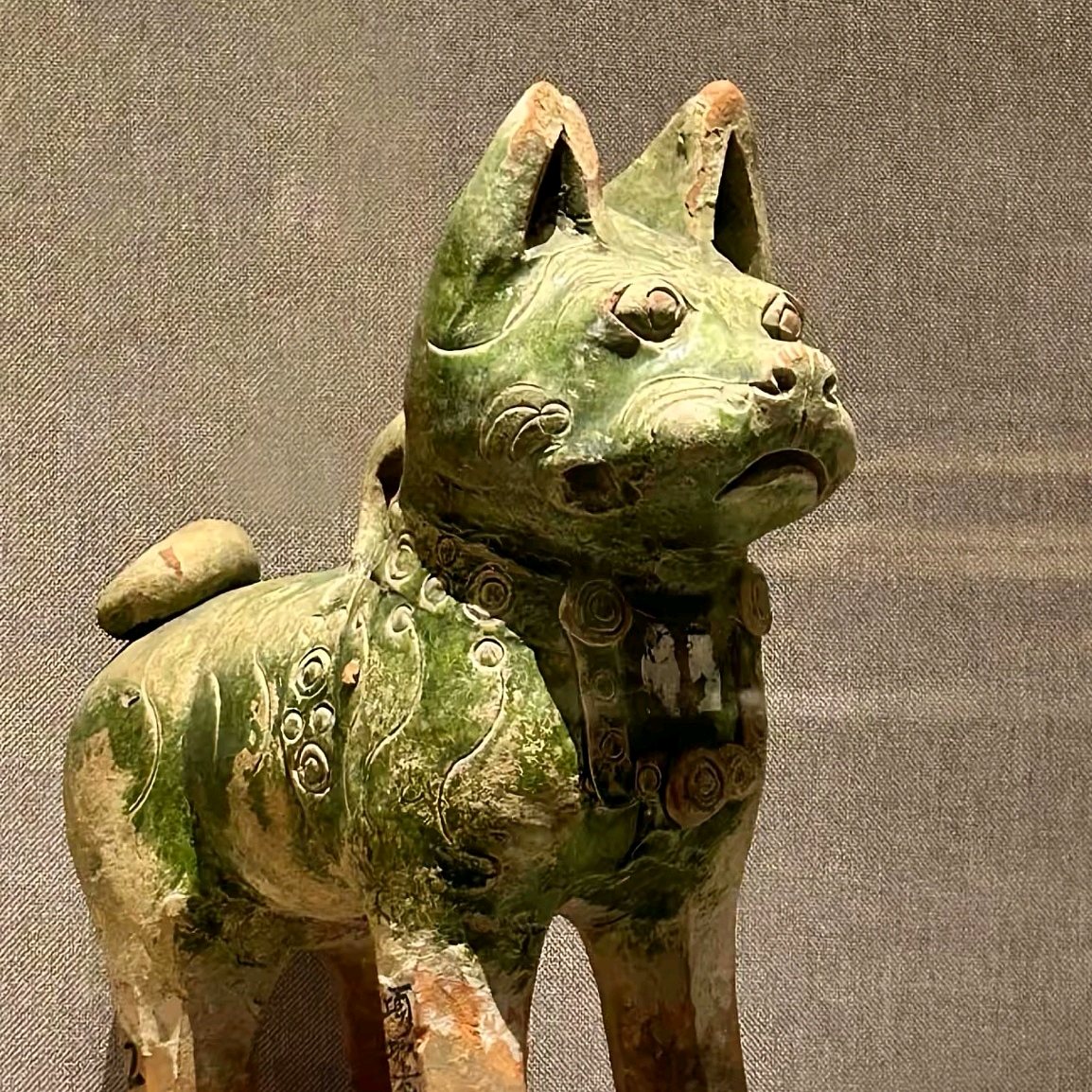 中华田园犬沟通群 群聊头像