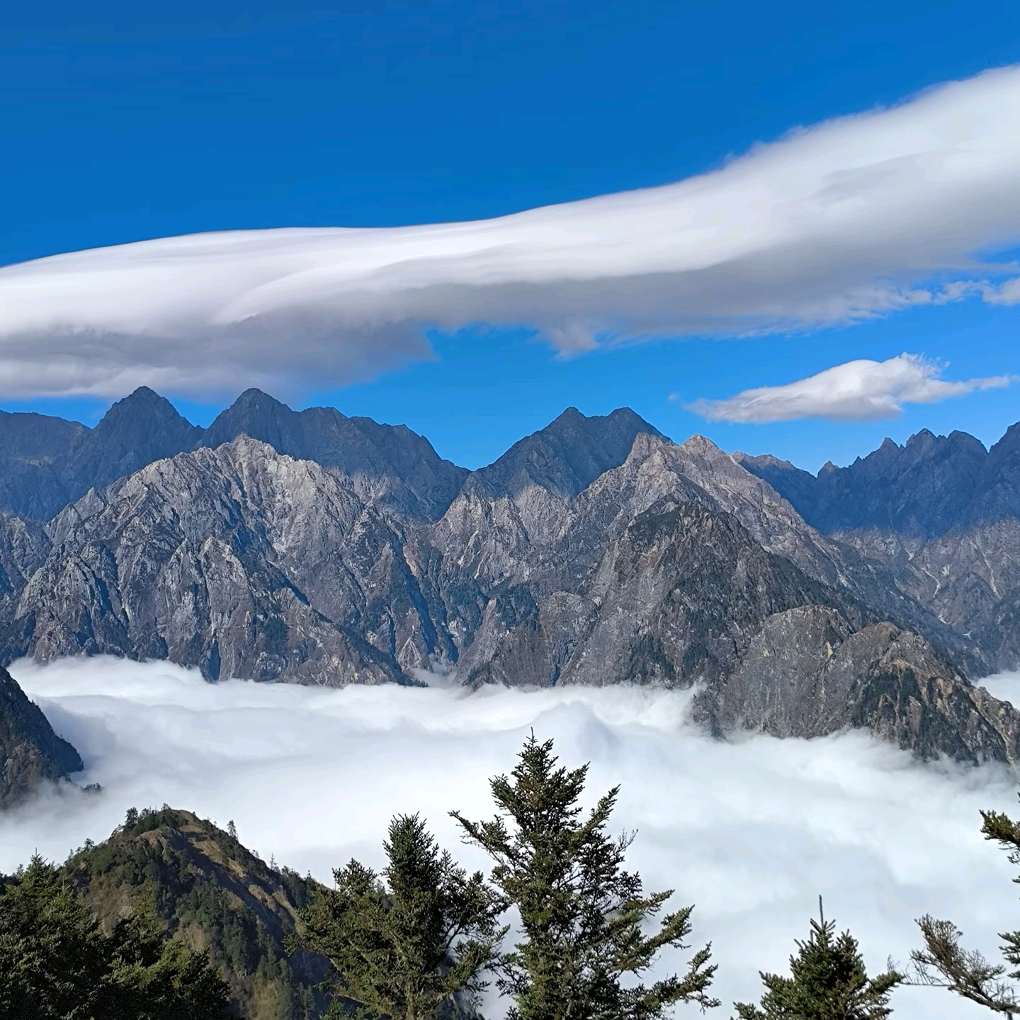 赴山野之约 群聊头像