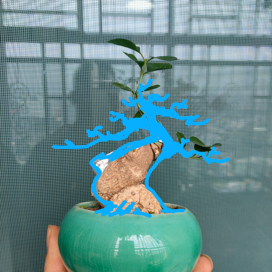 盆景养群 群聊头像
