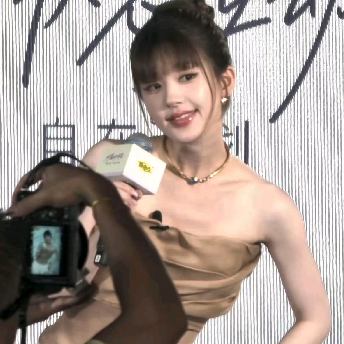 赵露思素材群 群聊头像