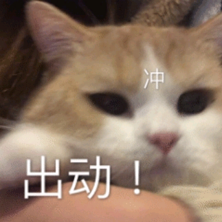 风象星座聊天群 群聊头像