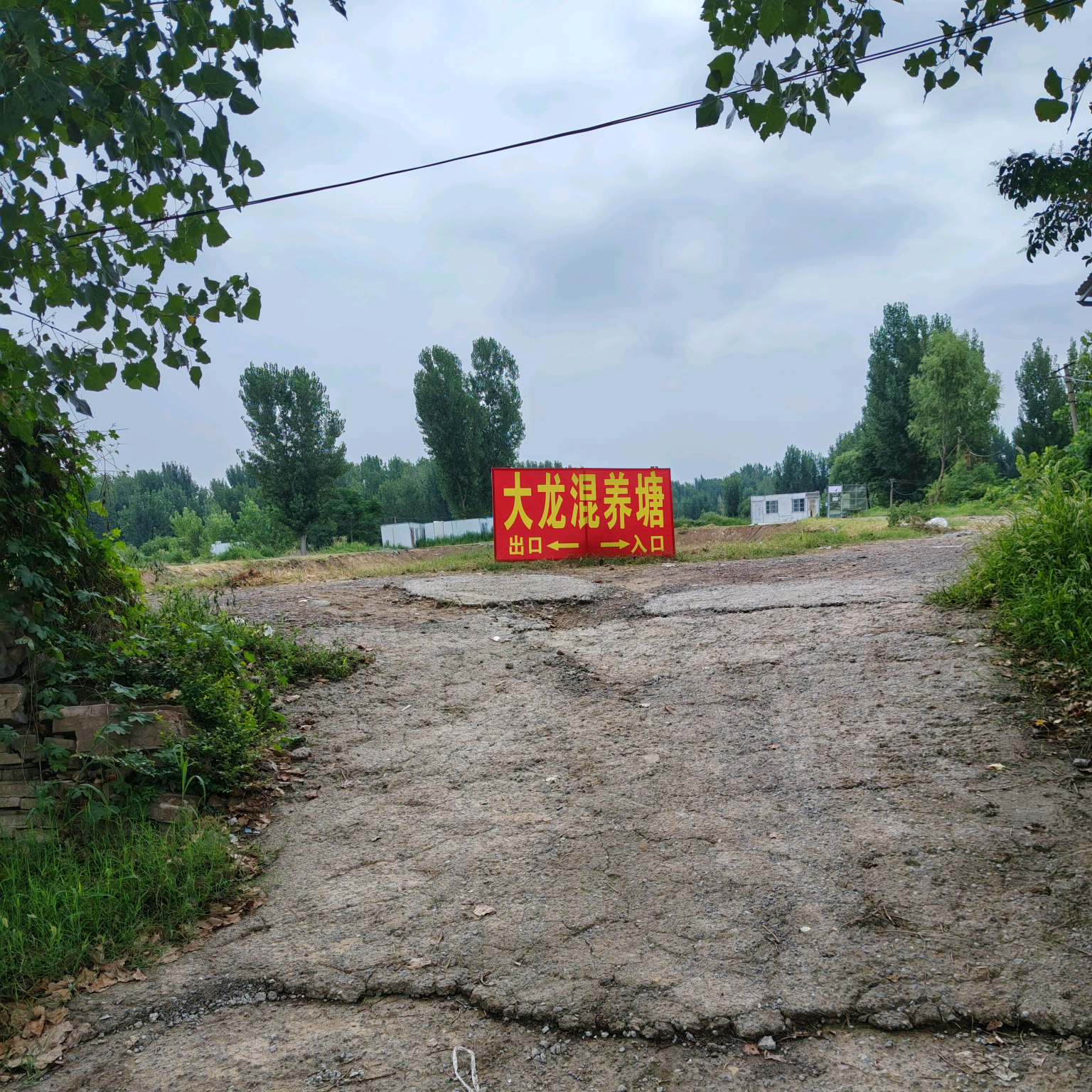 大龙混养塘 群聊头像
