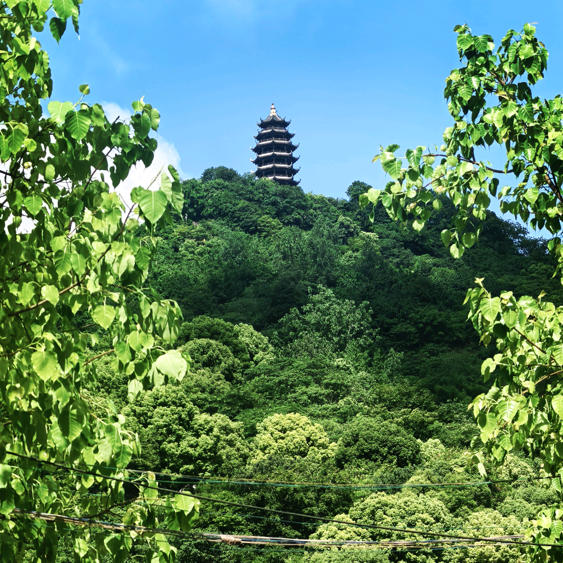 菩提山爬山群 群聊头像