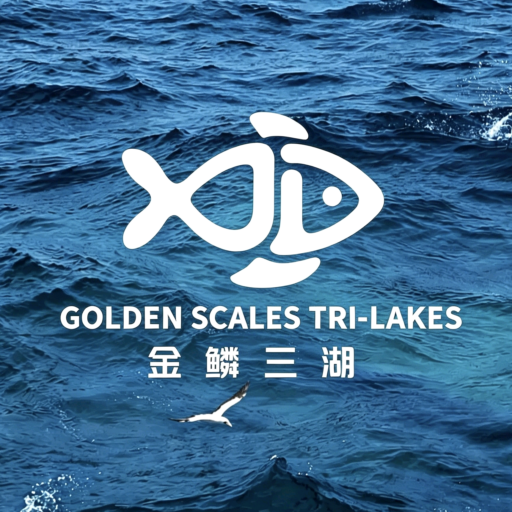 金鳞三湖粉丝群（一） 群聊头像