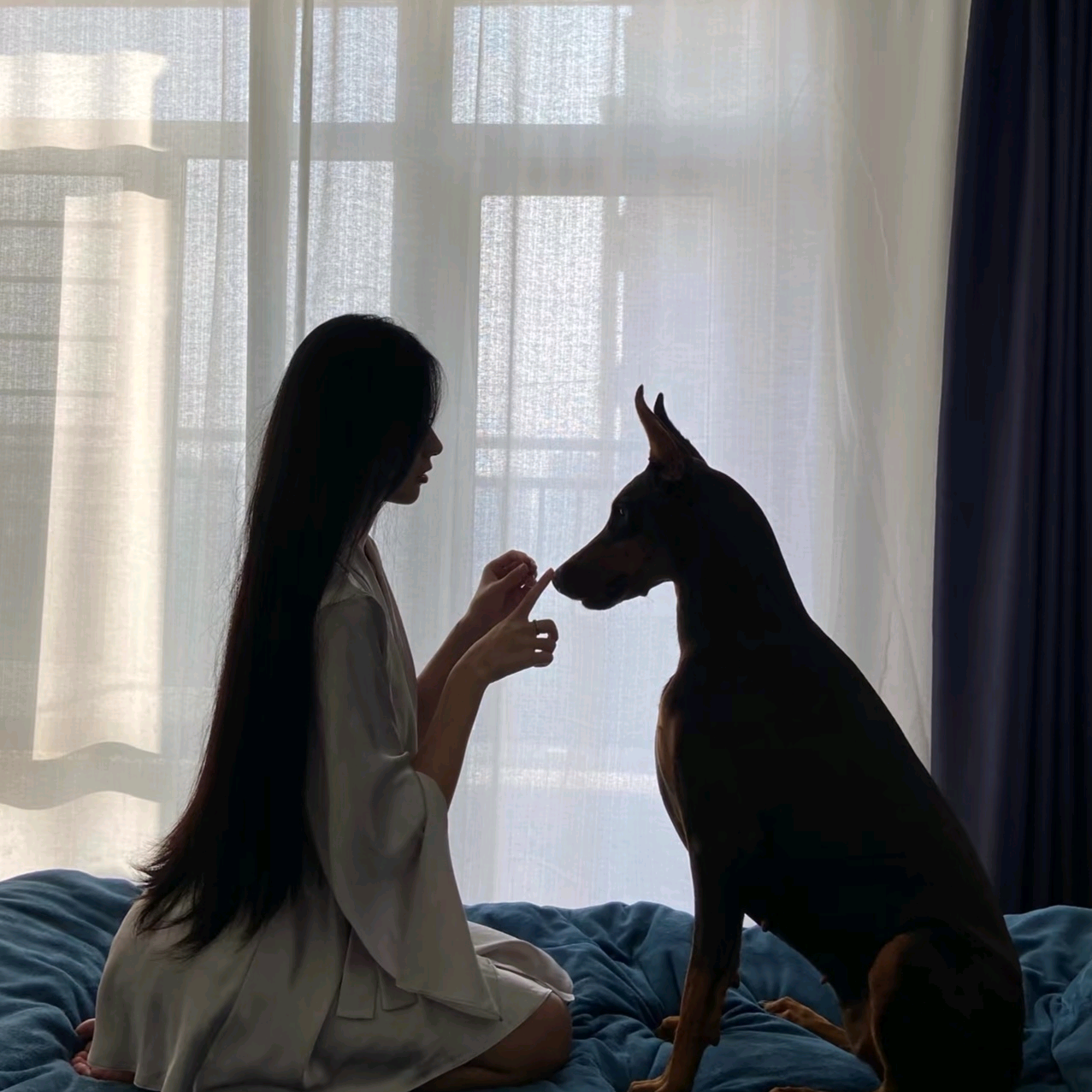 犬保镖 群聊头像