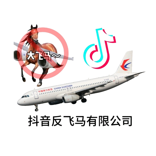 抖音反飞马有限公司（分群） 群聊头像