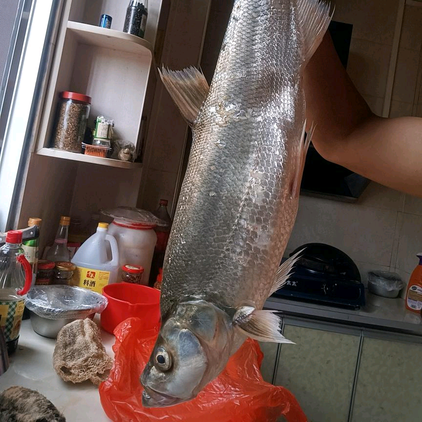 涔天河钓鱼 群聊头像