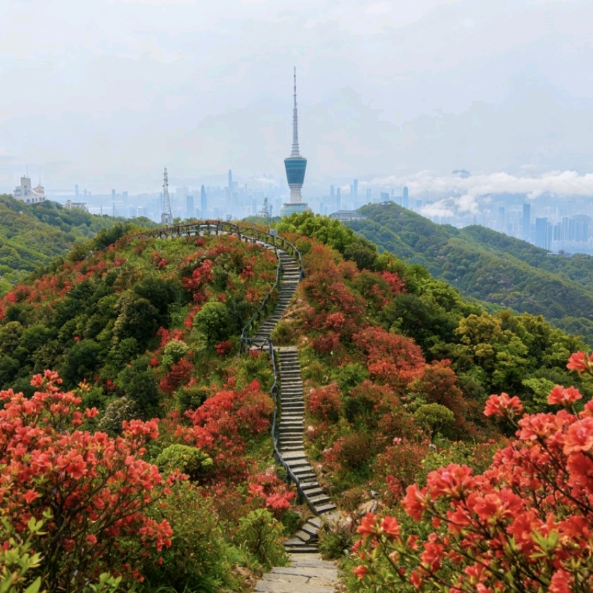 深莞离异单身交友圈 群聊头像