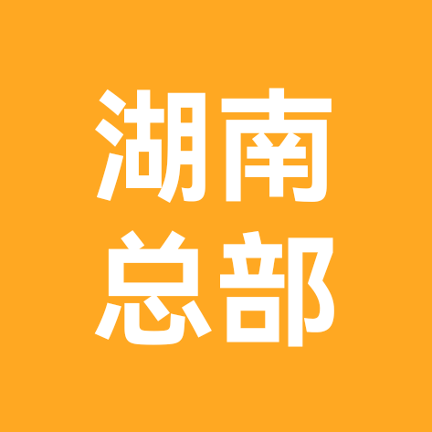 湖南集团总部 群聊头像