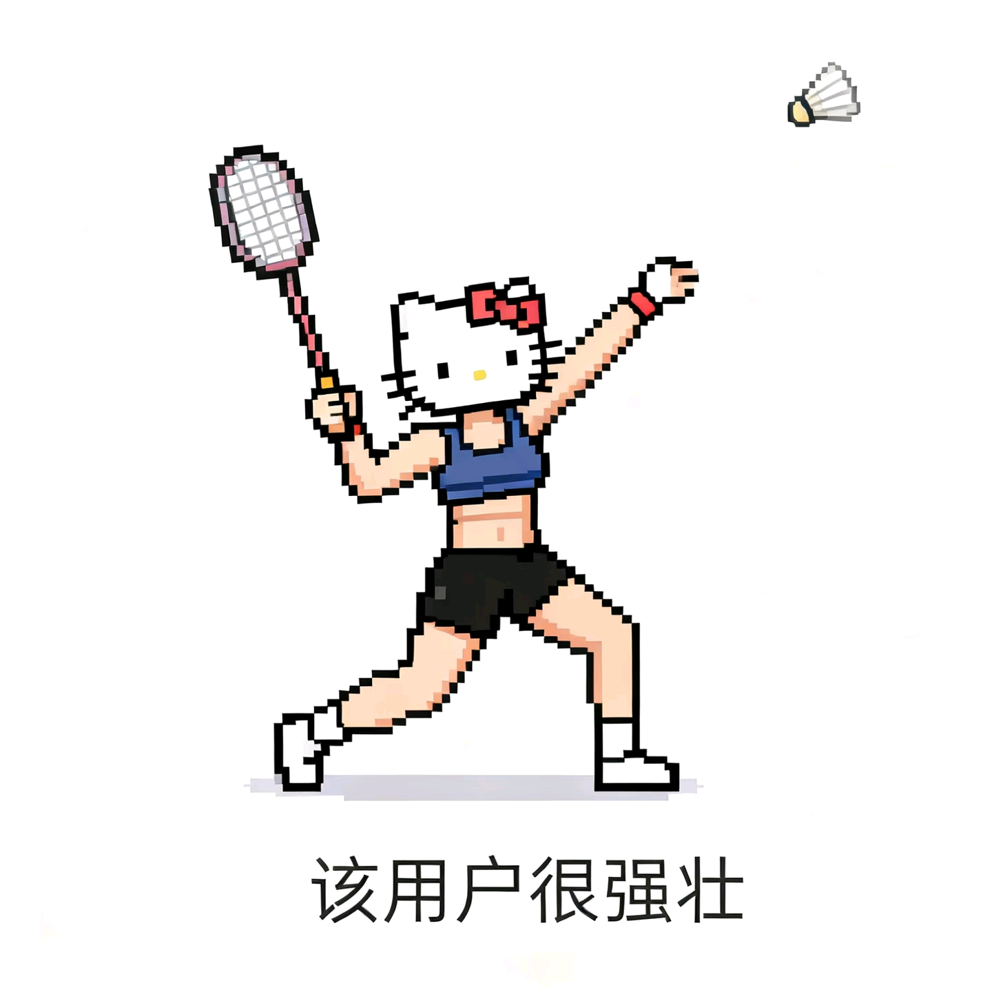 苏州羽毛球搭子群 群聊头像
