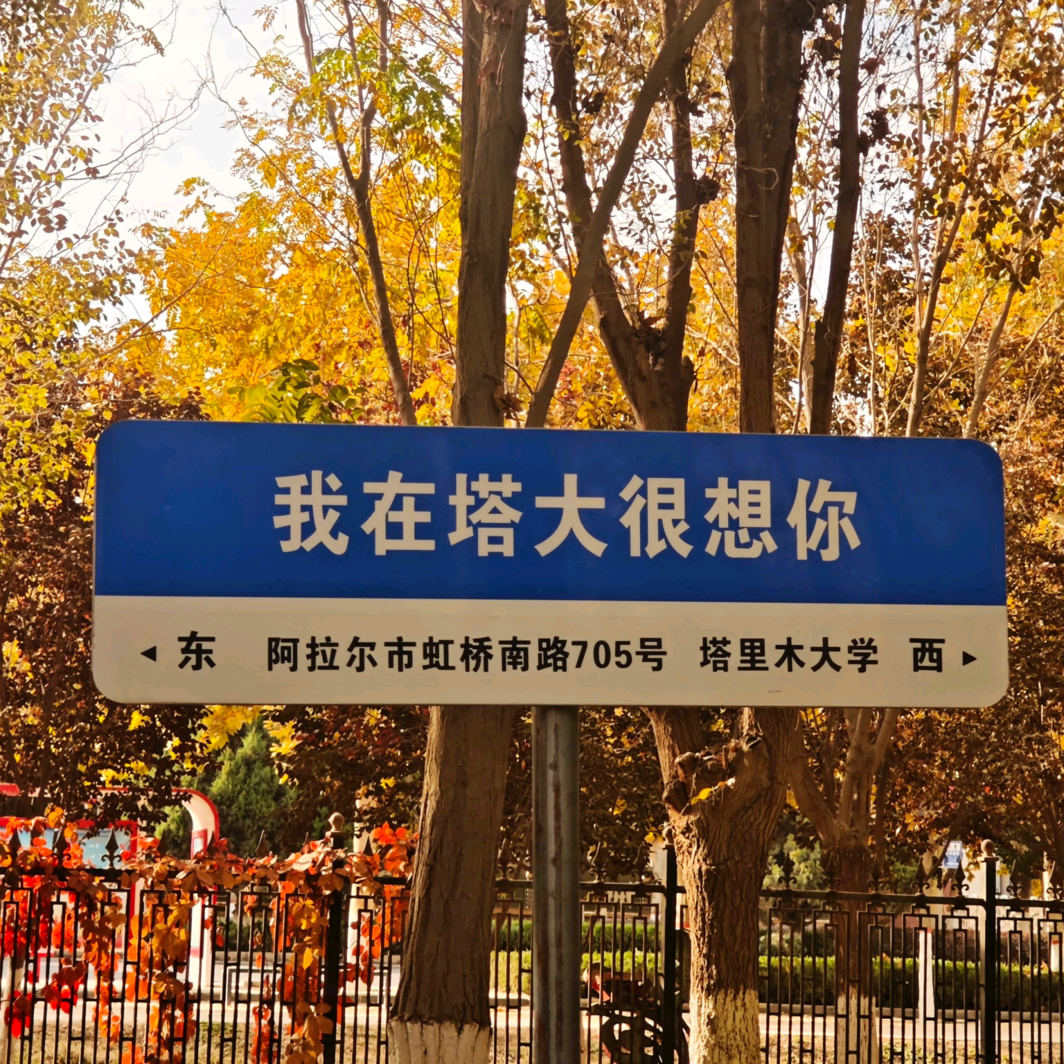 塔里木大学26级新生交流群 群聊头像