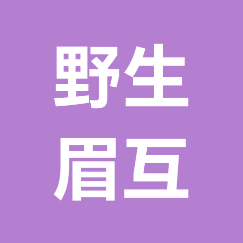 野生眉每日练习打卡群👍 群聊头像