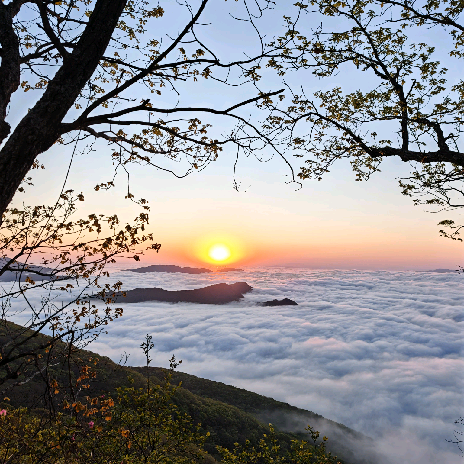 五女山追日小分队2 群聊头像
