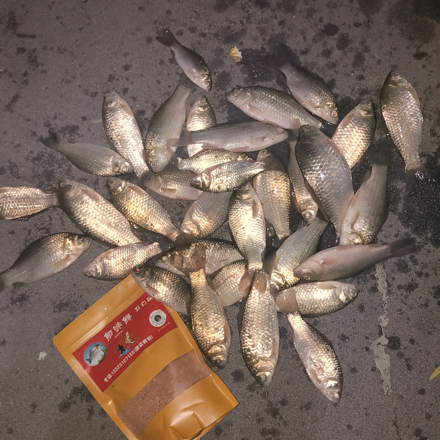 济南钓鱼佬 群聊头像