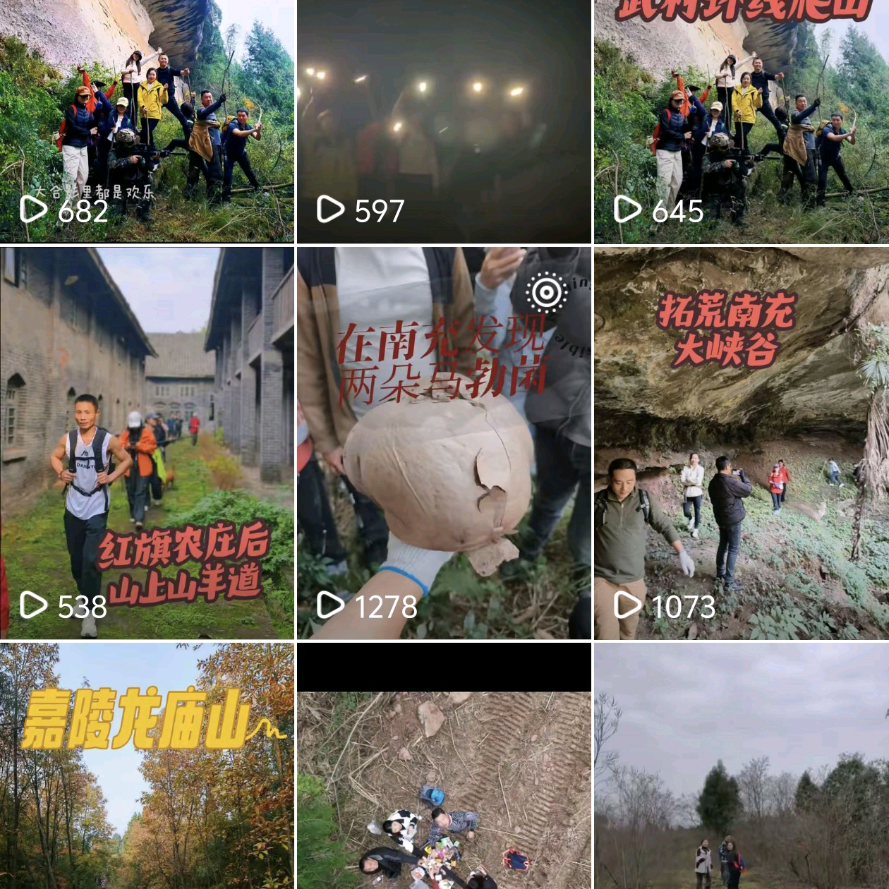 南充遇树临峰1群 群聊头像