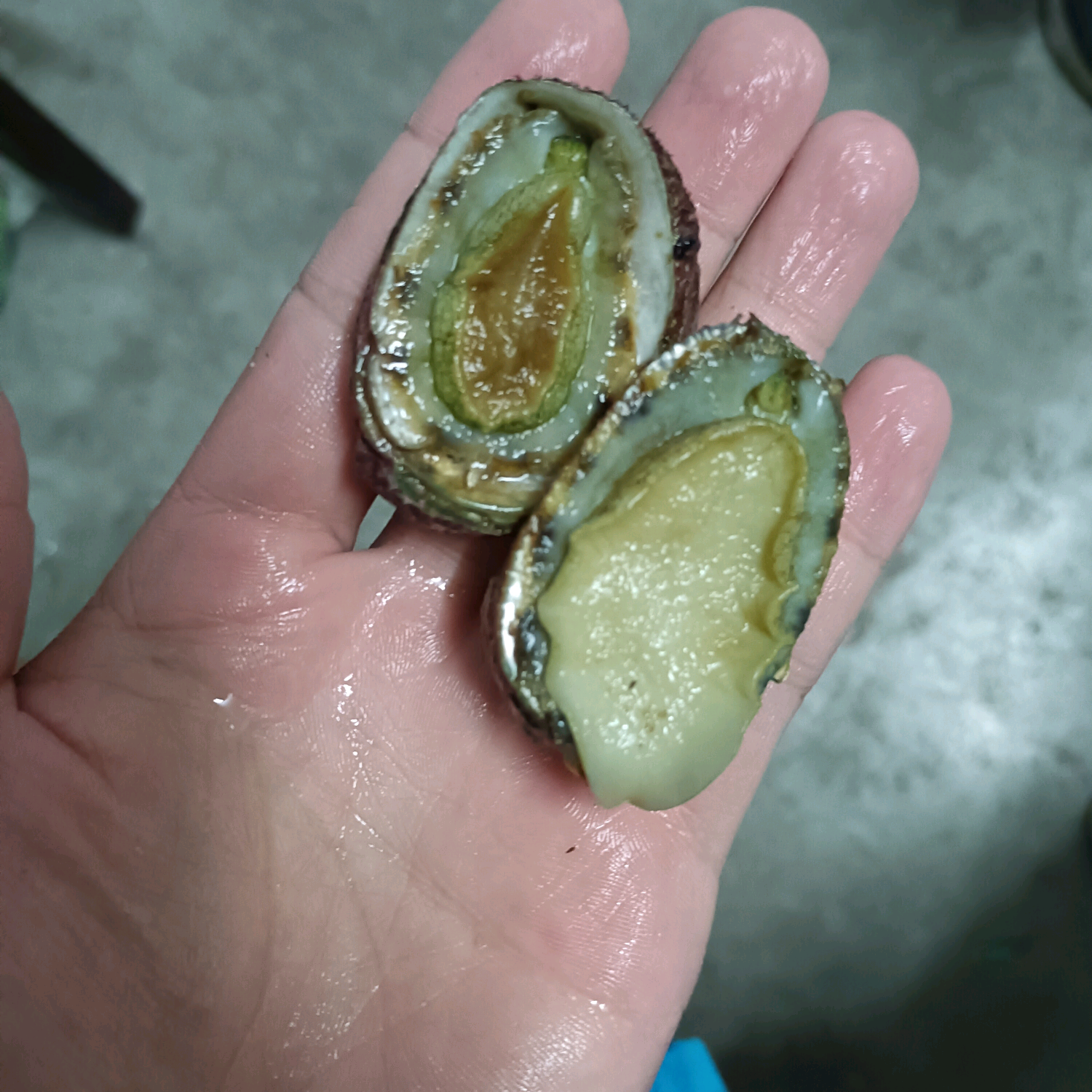 深圳大鹏，赶海小分队 群聊头像