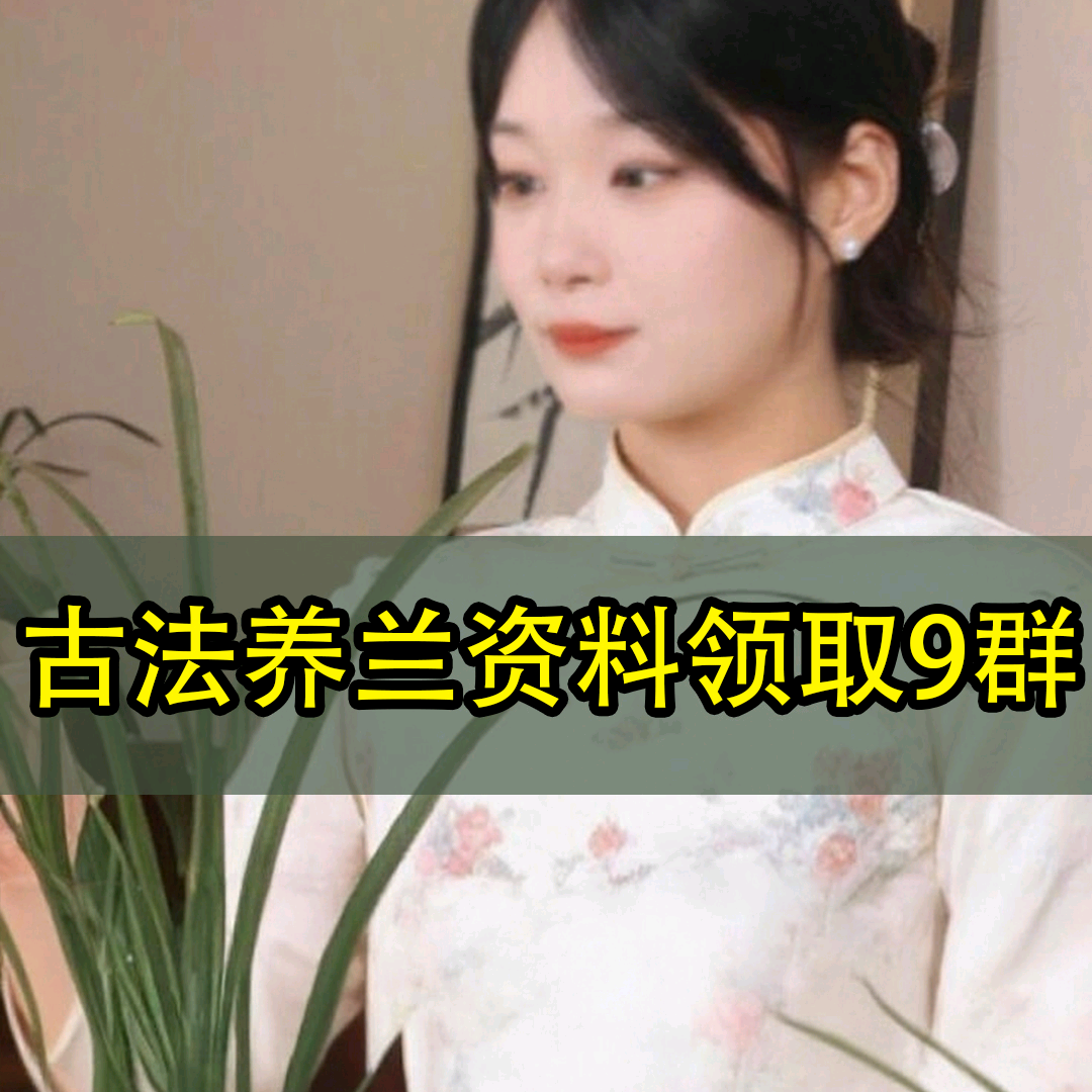 兰艺国兰—养兰资料领取9群 群聊头像