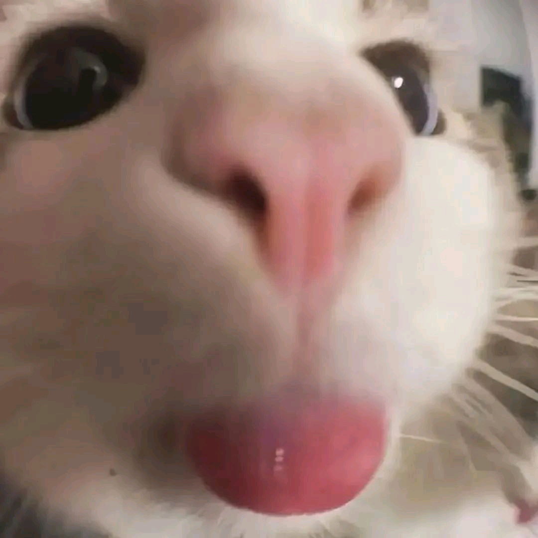 投稿踢踢群 群聊头像
