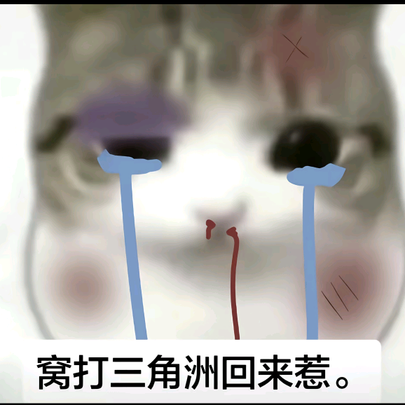 洲洲搭子 群聊头像